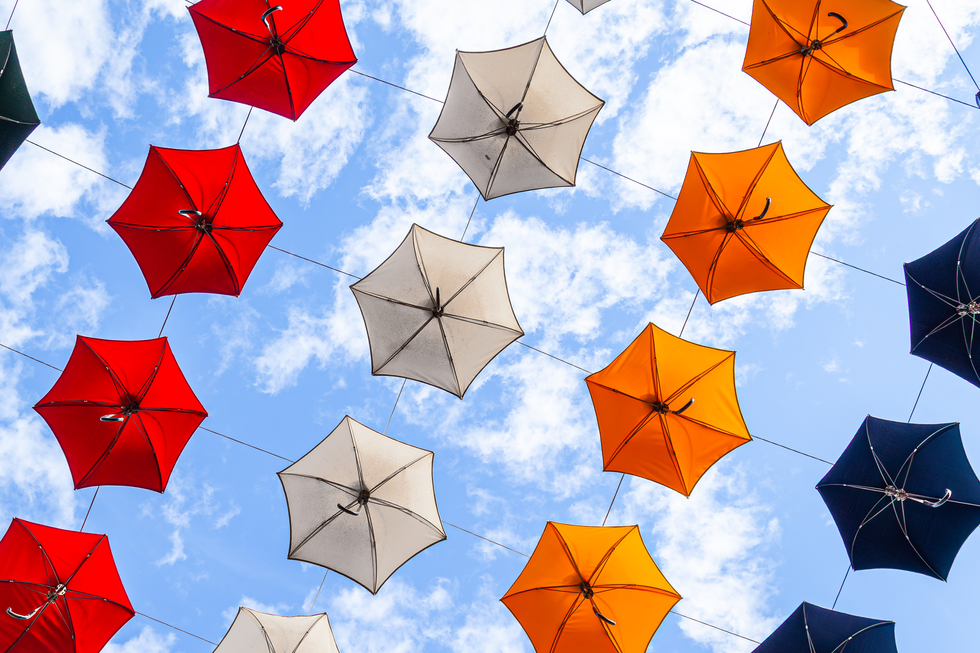 Think Big Corporation Photography Travel