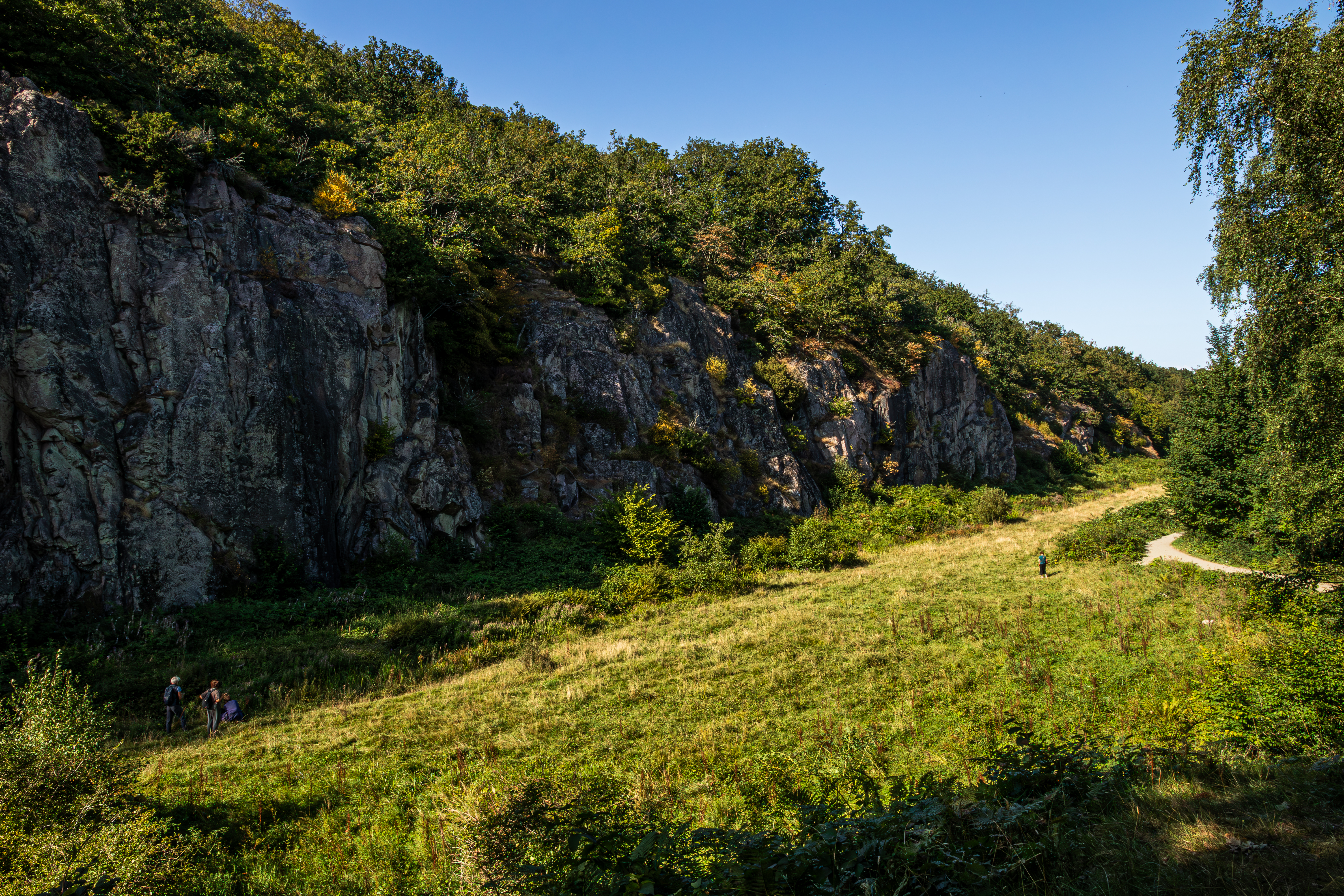 Think Big Corporation Photography Nature